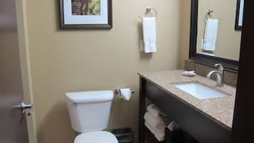 Un baño con inodoro, lavamanos y un cuadro en la pared.