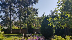 Un jardin bien entretenu, avec une pelouse, une table et des chaises, et une variété de plantes, notamment de la lavande.