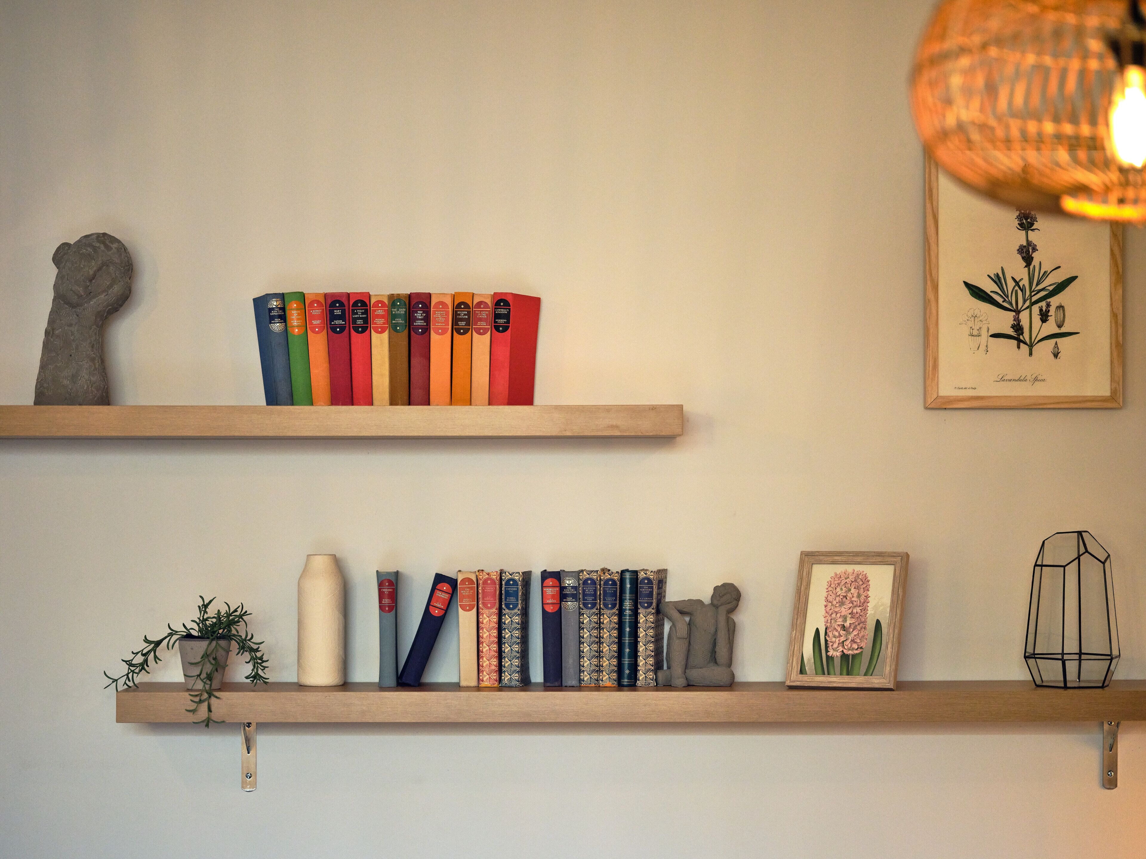 Two wooden shelves with books, a small potted plant, a sculpture, and a framed botanical illustration.