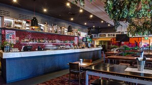 Una zona de bar con mostrador de azulejos azules, plantas colgantes y diferentes botellas y vasos.