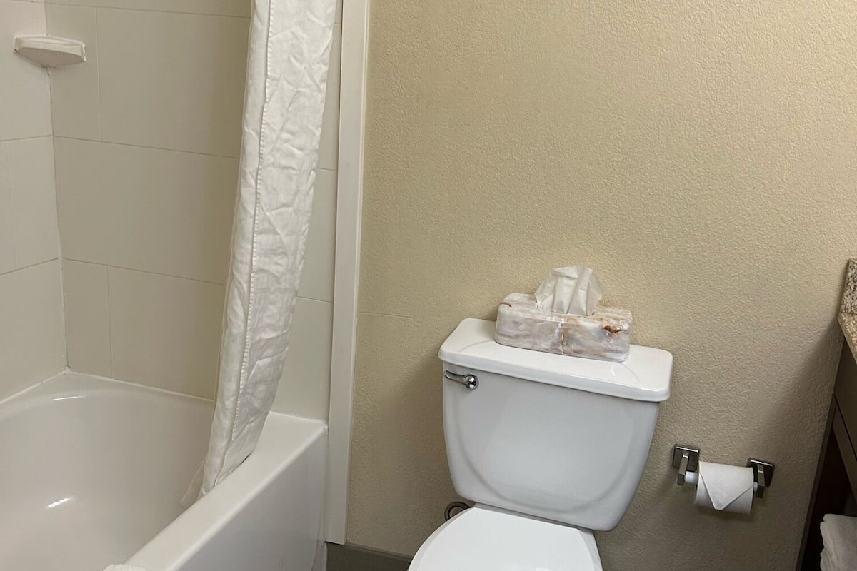 free toiletries, hair dryer, towels