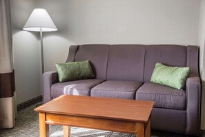 Standard Room, 1 King Bed with Sofa bed