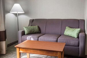 标准房, 1 张特大床和 1 张沙发床 | 办公桌、遮光窗帘、熨斗/熨衣板、免费婴儿床