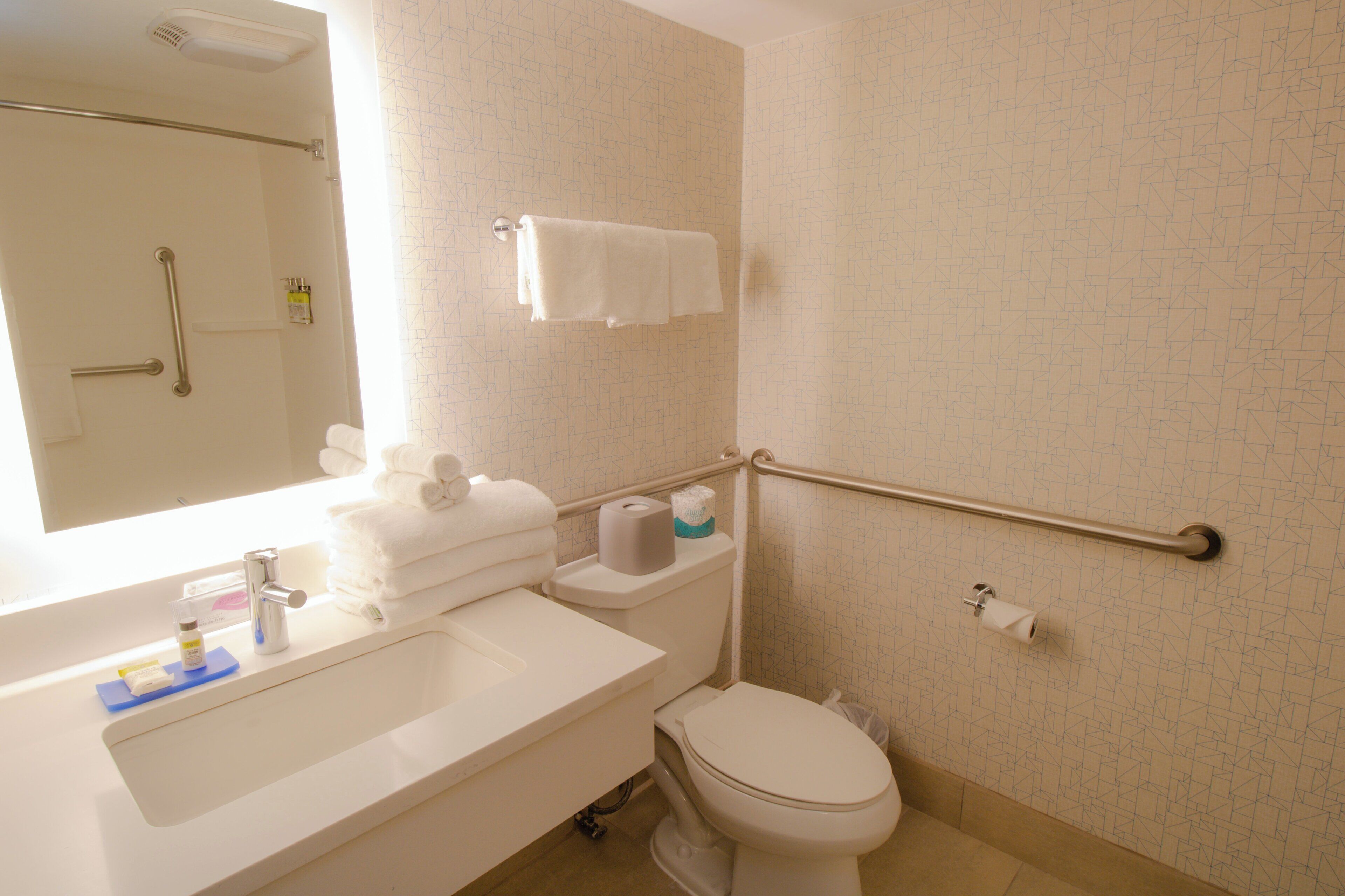 Une salle de bain équipée de toilettes, d’un lavabo et de barres d’appui.