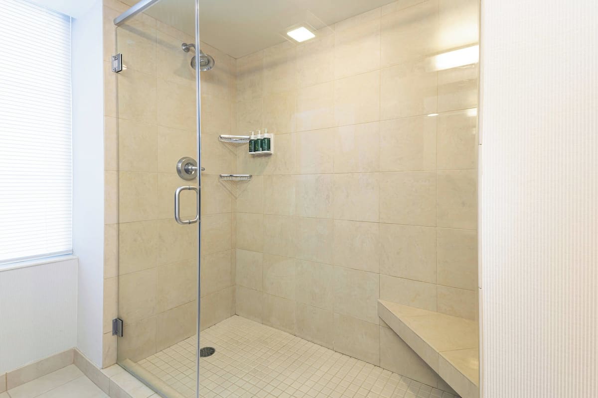combined shower/bathtub, hair dryer, towels