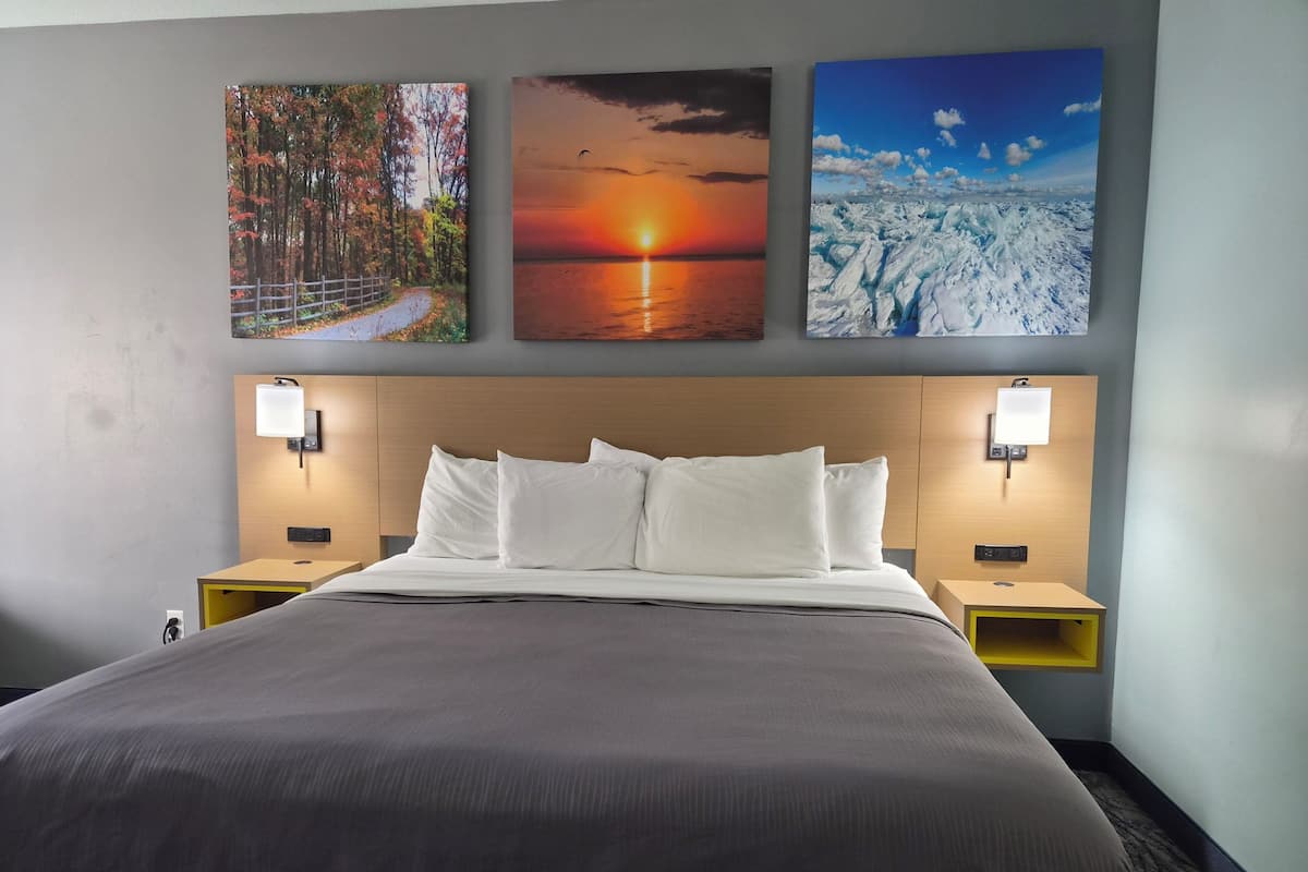 A hotel room with a large bed, two bedside tables, a headboard, and three wall-mounted paintings depicting nature scenes.