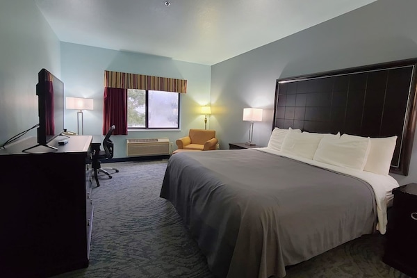 Standard Room, 1 King Bed (No Pets Allowed)