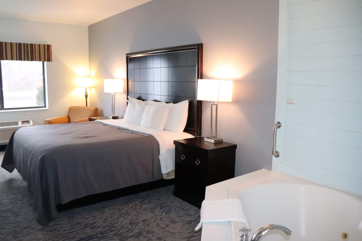 standard suite, 1 king bed (no pets allowed) | 1 bedroom, desk, iron/ironing board, free wifi