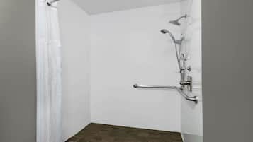 Standard Accessible Room | Regadera manual