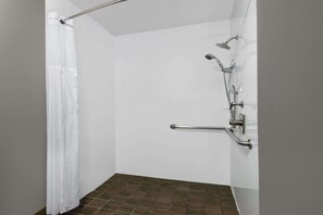 Standard Accessible Room | Hand-held showerhead