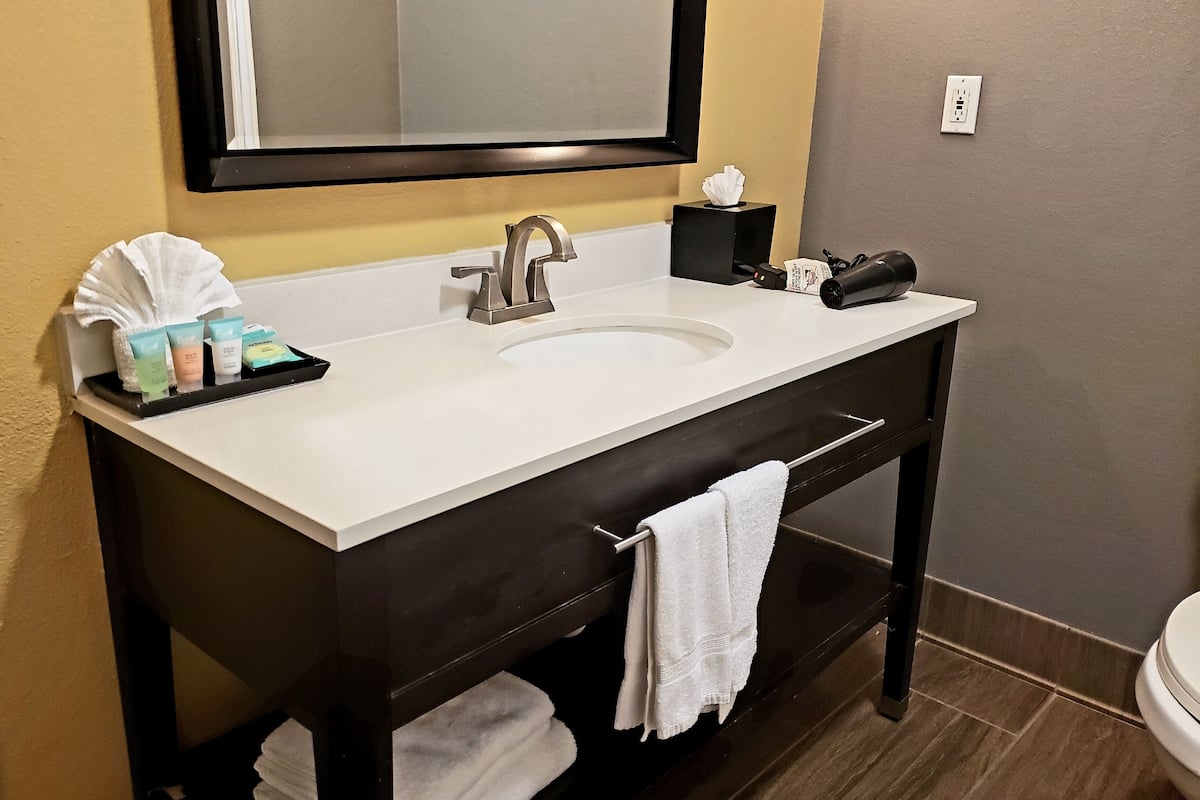 combined shower/bathtub, eco-friendly toiletries, hair dryer, towels