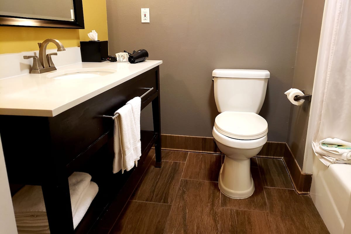 combined shower/bathtub, eco-friendly toiletries, hair dryer, towels