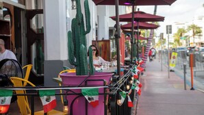 Outdoor seating with tables and chairs, a cactus decoration, and a storefront with a neon sign. - The Whitelaw Hotel (Miami Beach)
