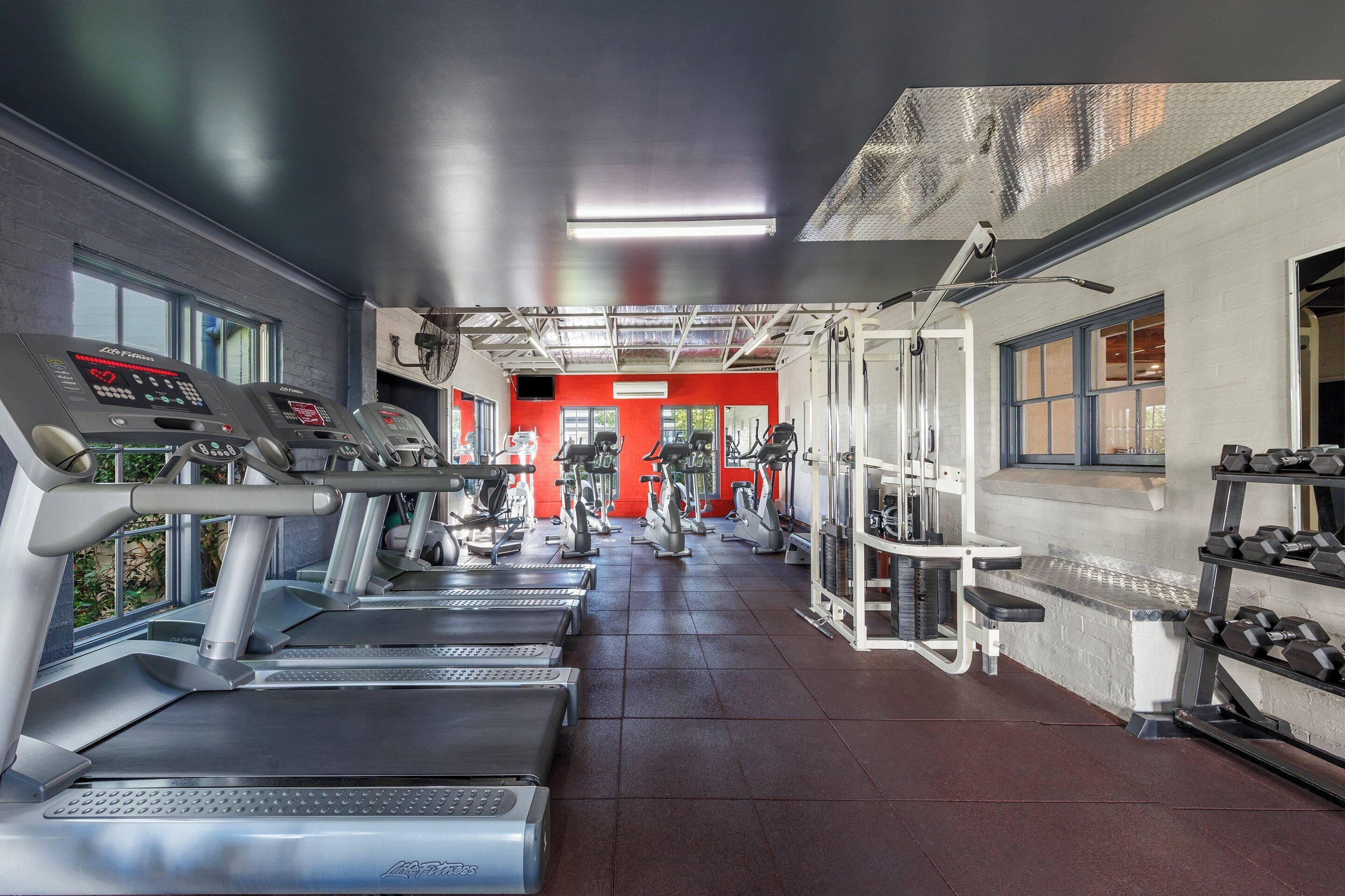 Un gimnasio con cintas de correr, máquinas de pesas y mancuernas.
