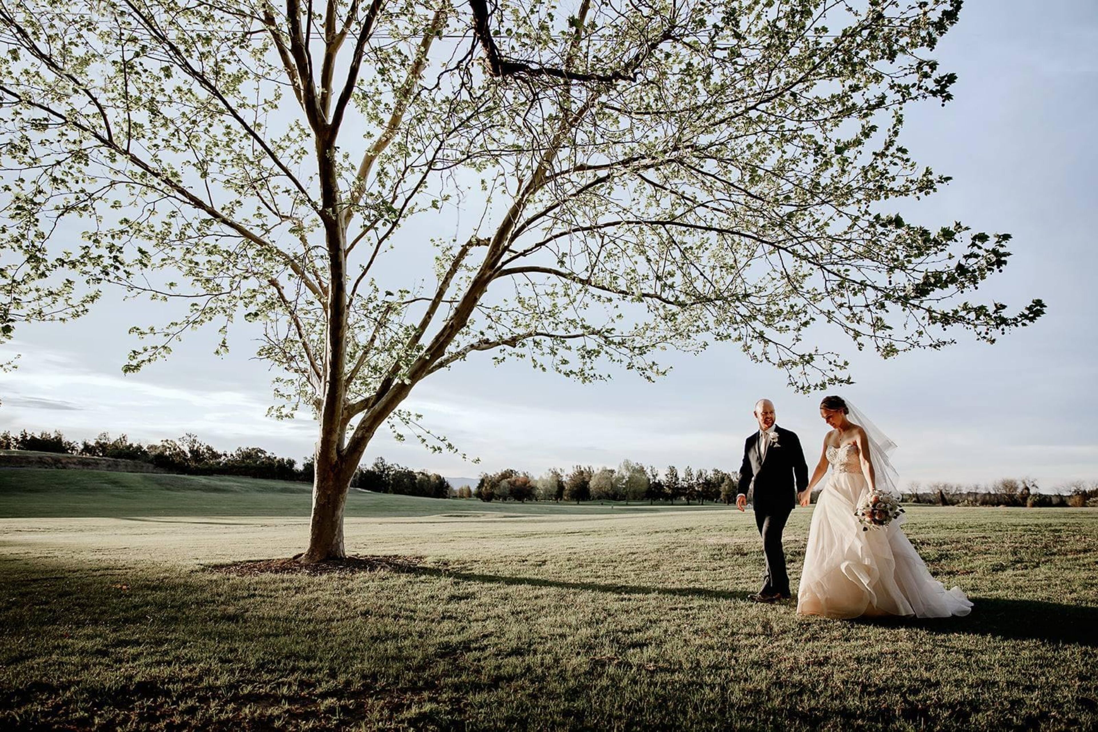 outdoor wedding area