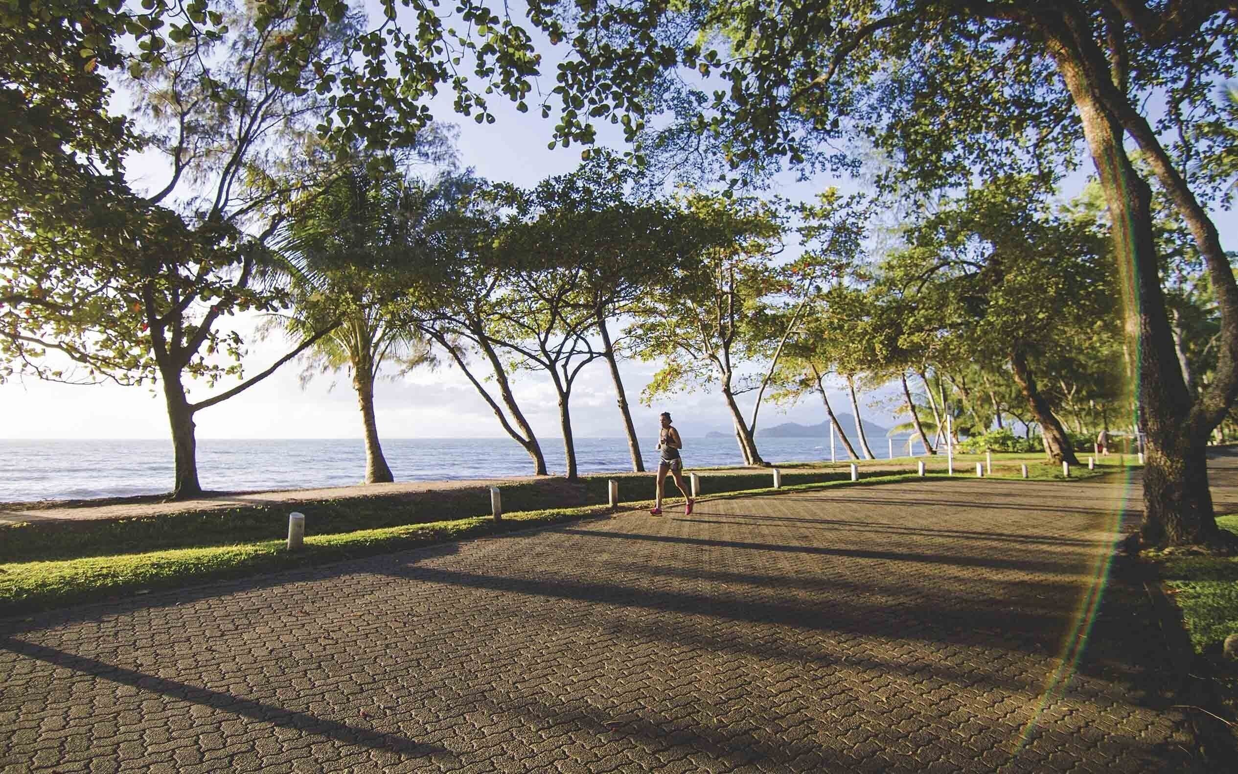 A paved pathway lined with trees and a view of the sea.