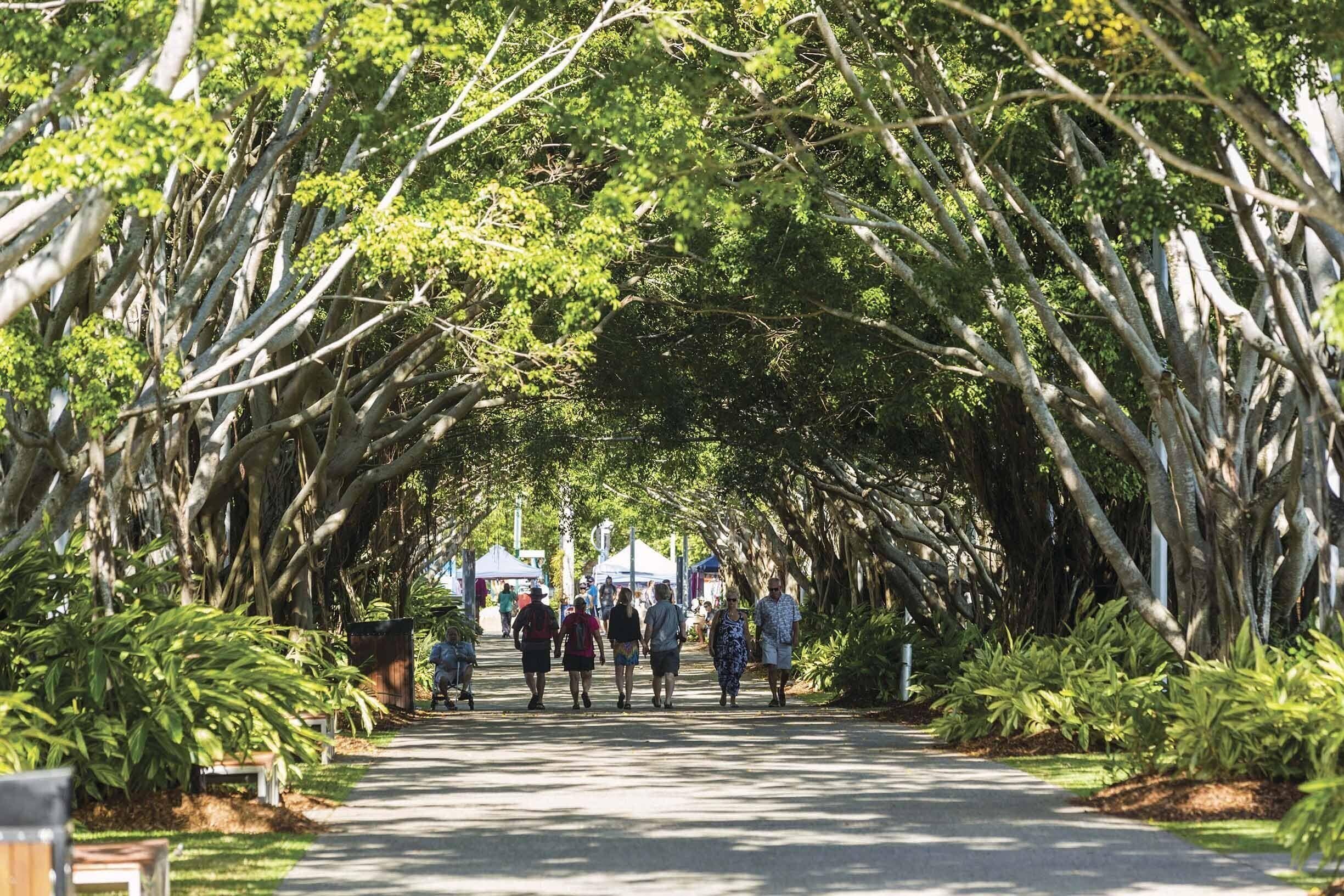 A pathway lined with tall trees, creating a tunnel-like effect.