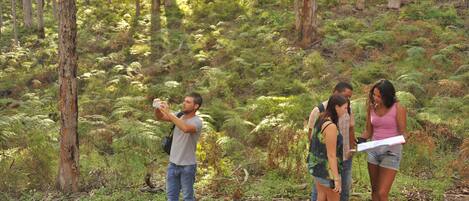 A group of people in a forested area with ferns and trees.