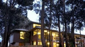 A modern multi-story building with large windows and a balcony, surrounded by tall trees. - Margarets in Town Apartments (Margaret River)