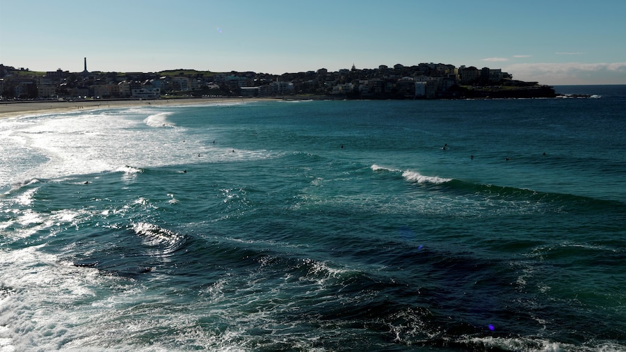 QT Bondi