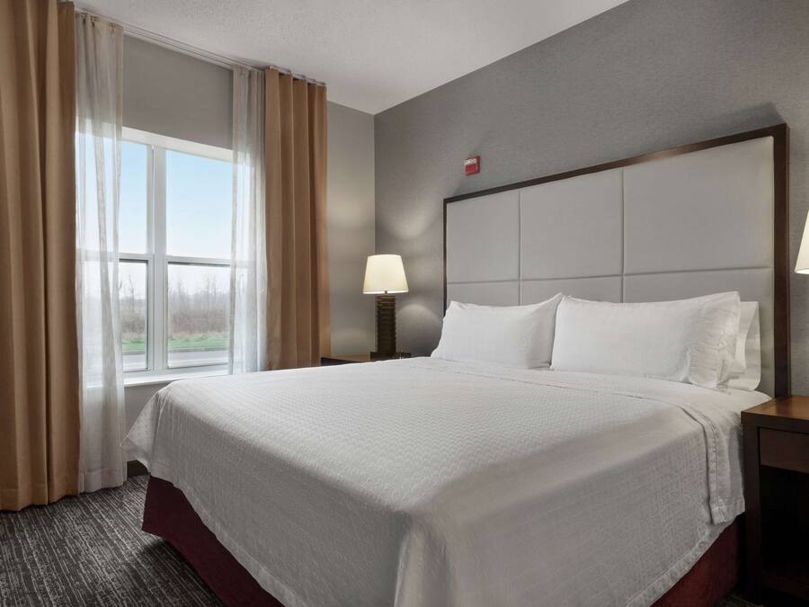 A hotel room with a large bed, a nightstand with a lamp, a window with curtains, and a view of the outdoors.