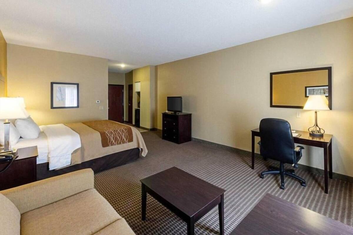 A hotel room with a bed, a desk, a chair, a TV, and a lamp.