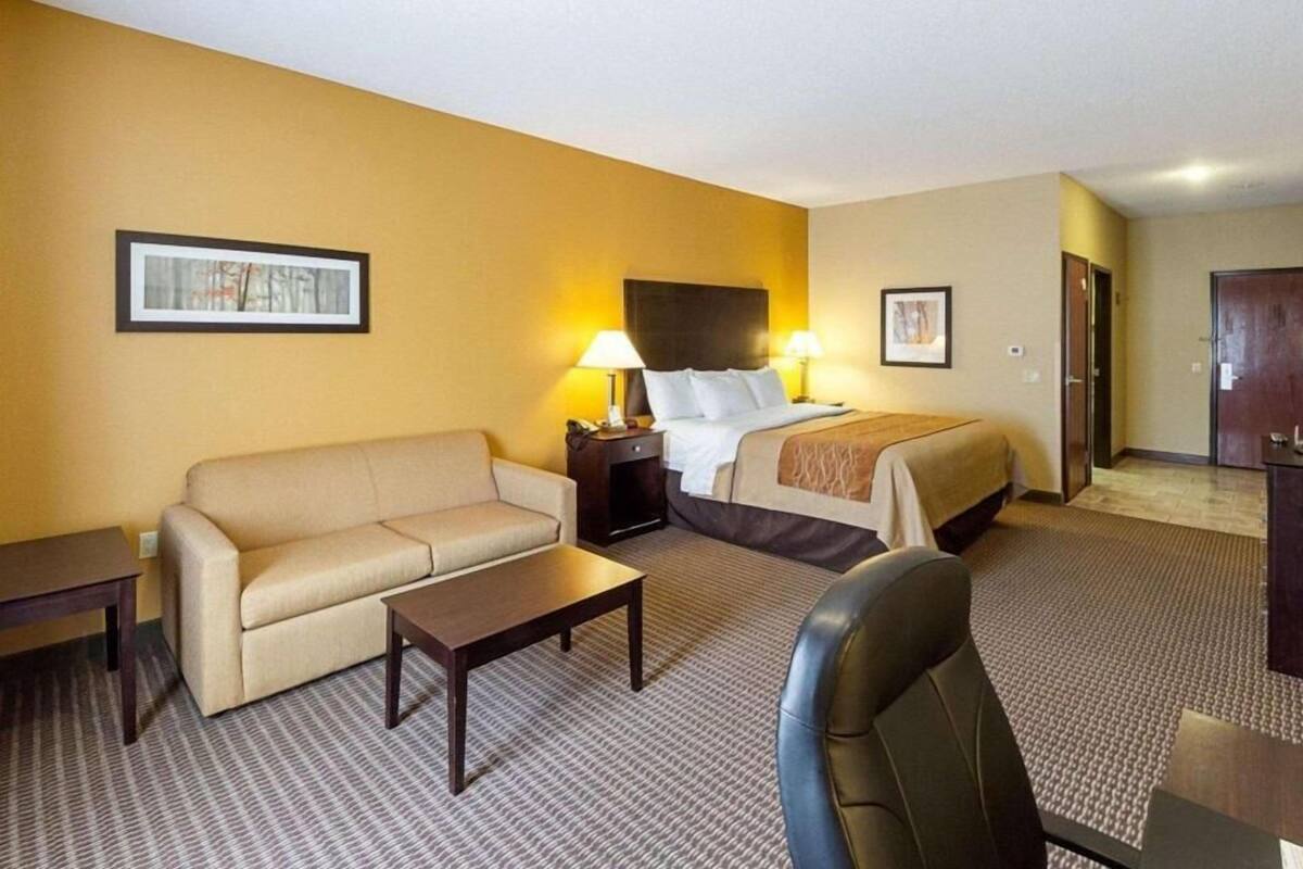 A hotel room with a bed, a sofa, a desk, and a chair.