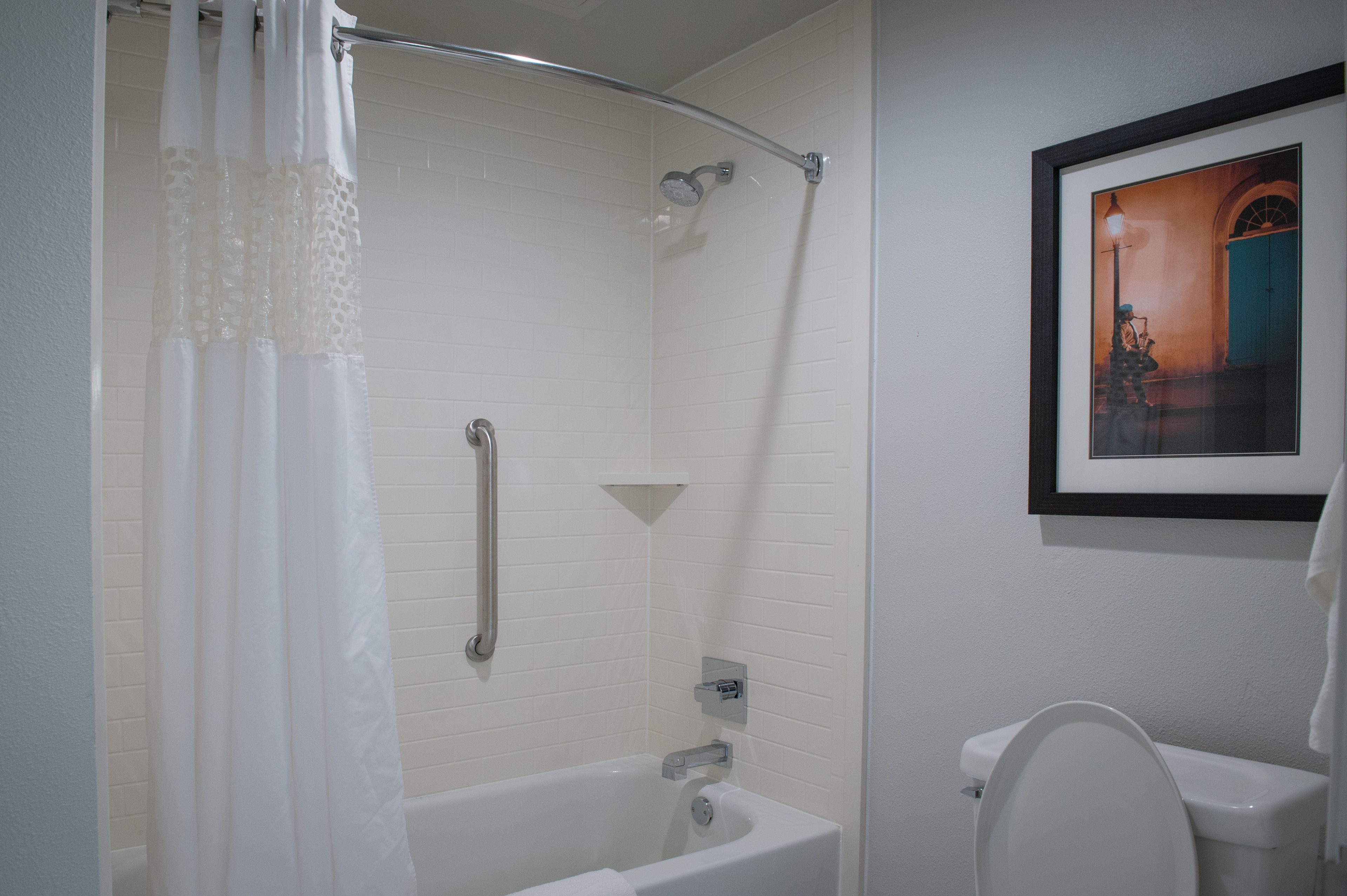 A bathroom with a shower, toilet, and a framed picture on the wall.
