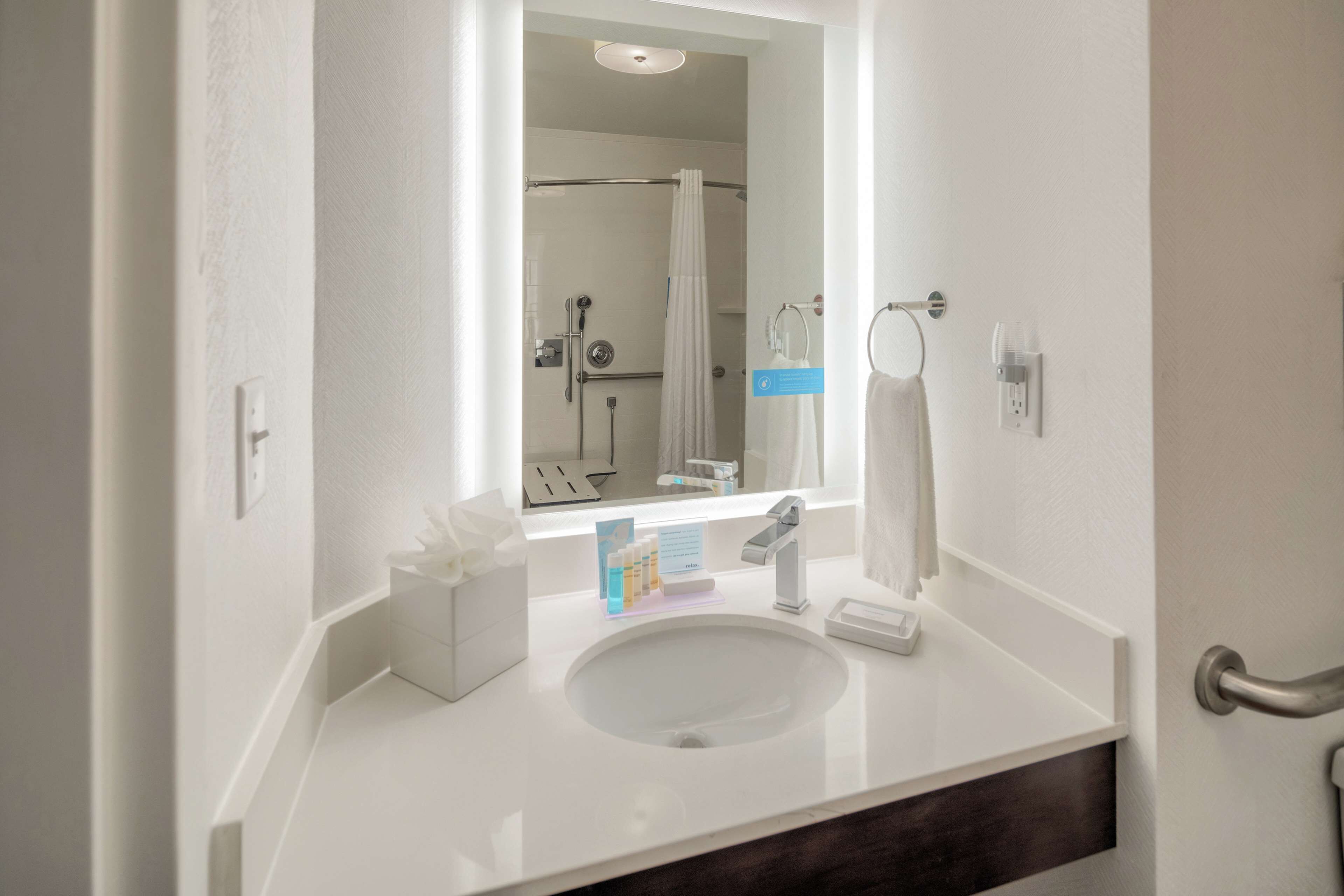 room, 1 king bed, accessible, non smoking (roll-in shower) | bathroom shower