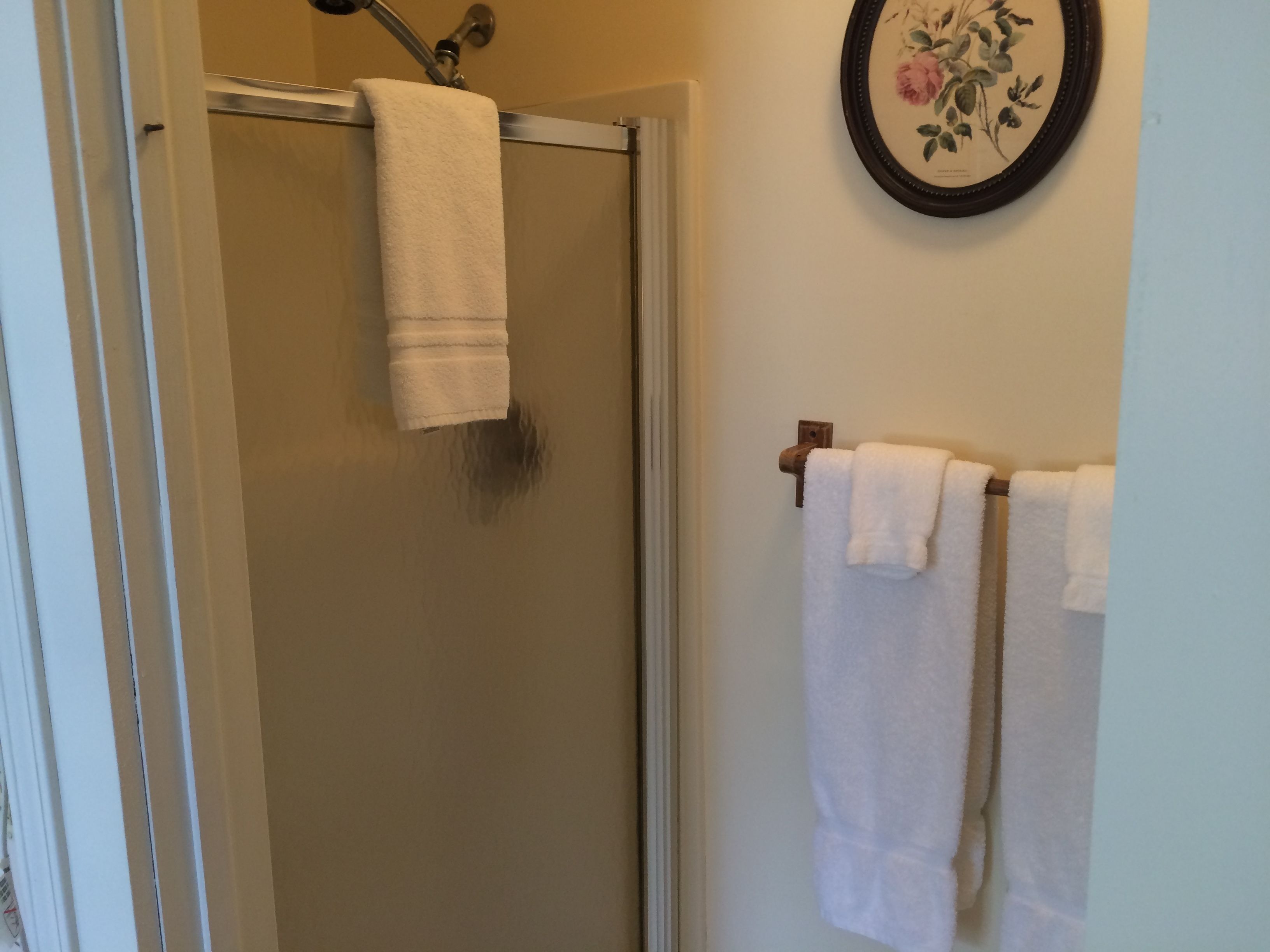 A bathroom with a shower, a towel rack with two towels, and a framed floral artwork on the wall.