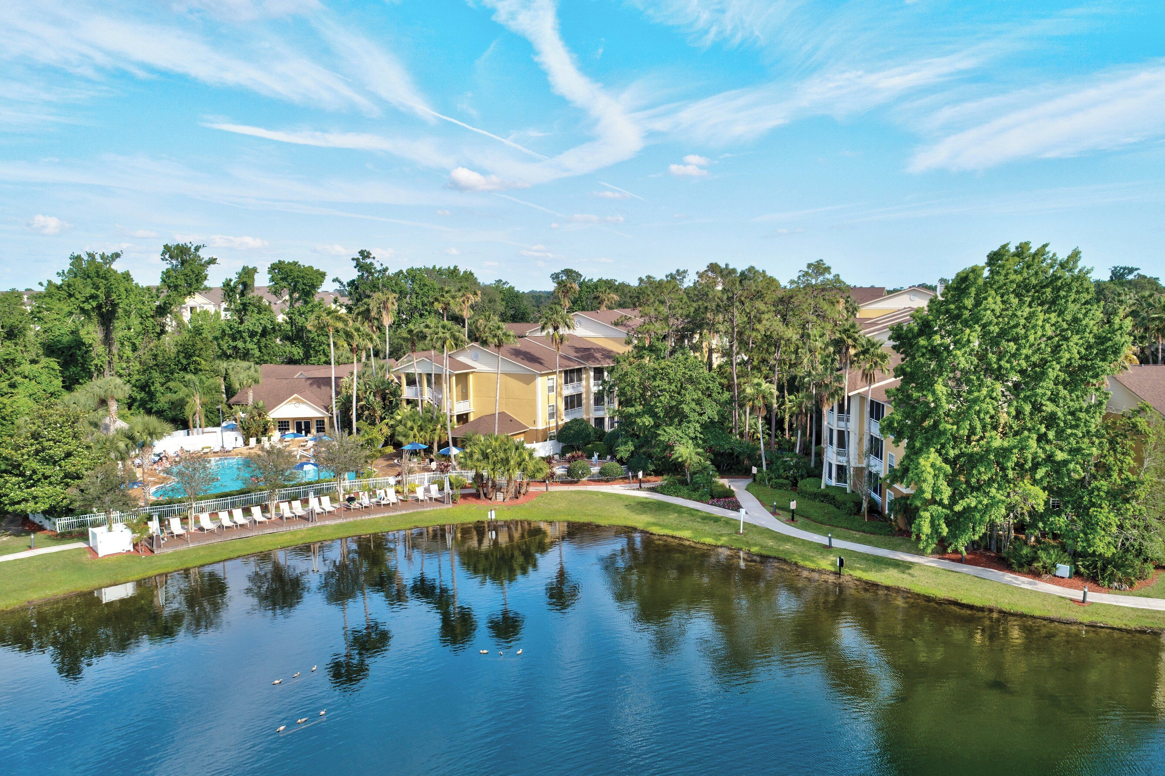 A resort with a swimming pool, guest lounge chairs, and a pond.