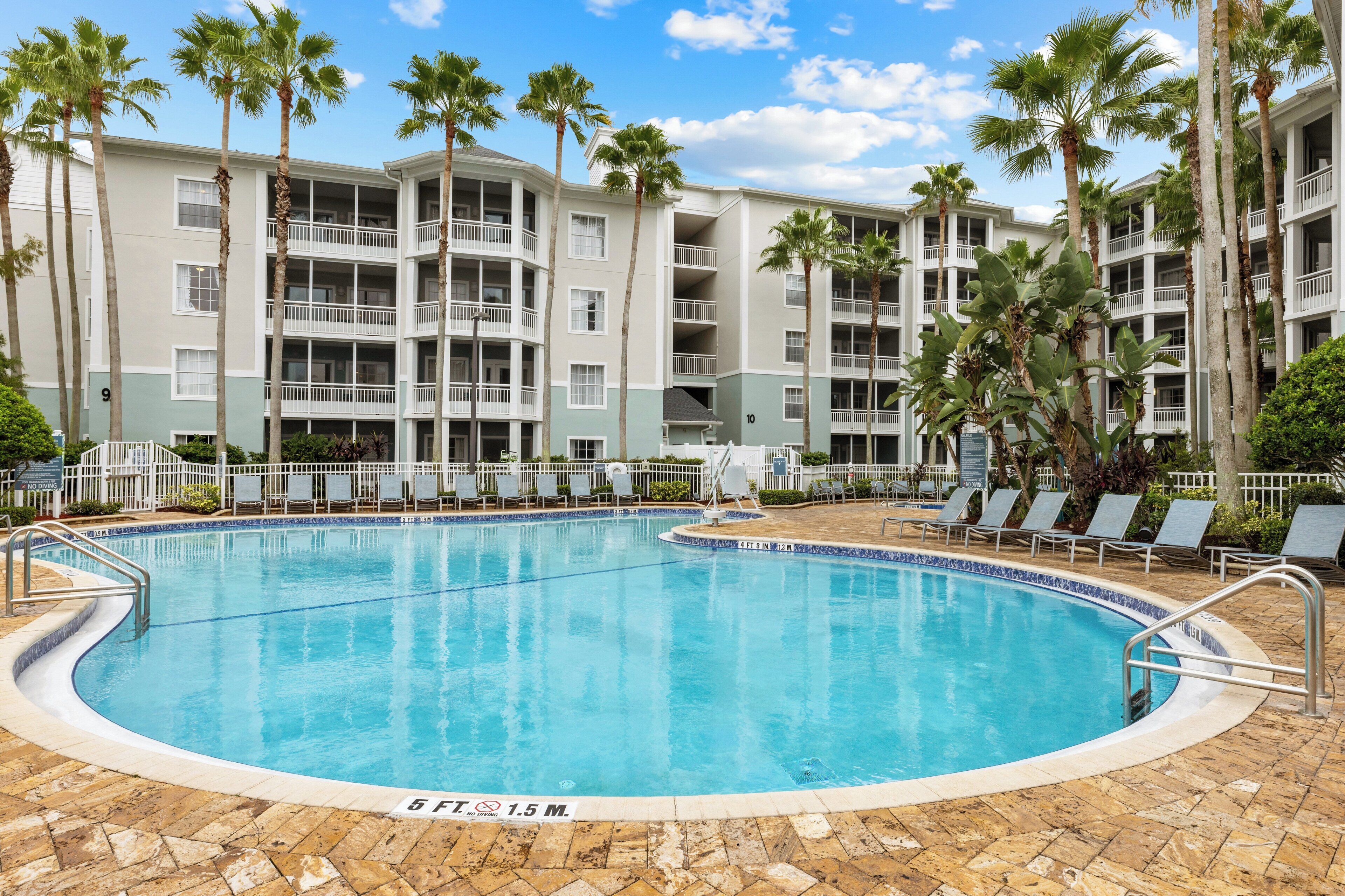 A swimming pool with a no diving sign, surrounded by lounge chairs and palm trees, with a multi-story building in the background.
