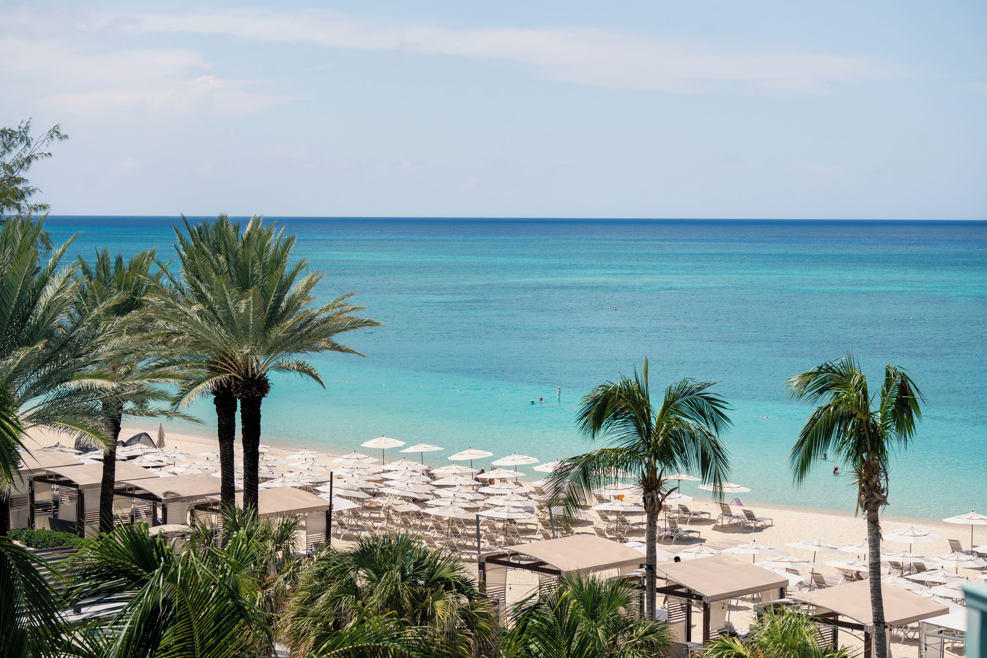 Una playa con palmeras, sombrillas y sillones de descanso.