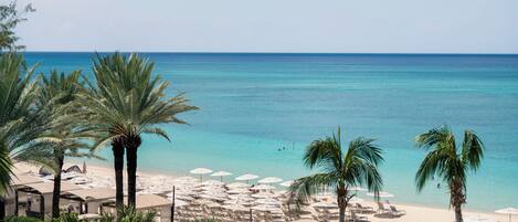Una playa con palmeras, sombrillas y sillones de descanso.