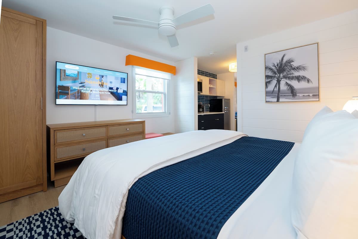 A hotel room with a bed, a television mounted on the wall, a ceiling fan, a window, and a painting of a palm tree.