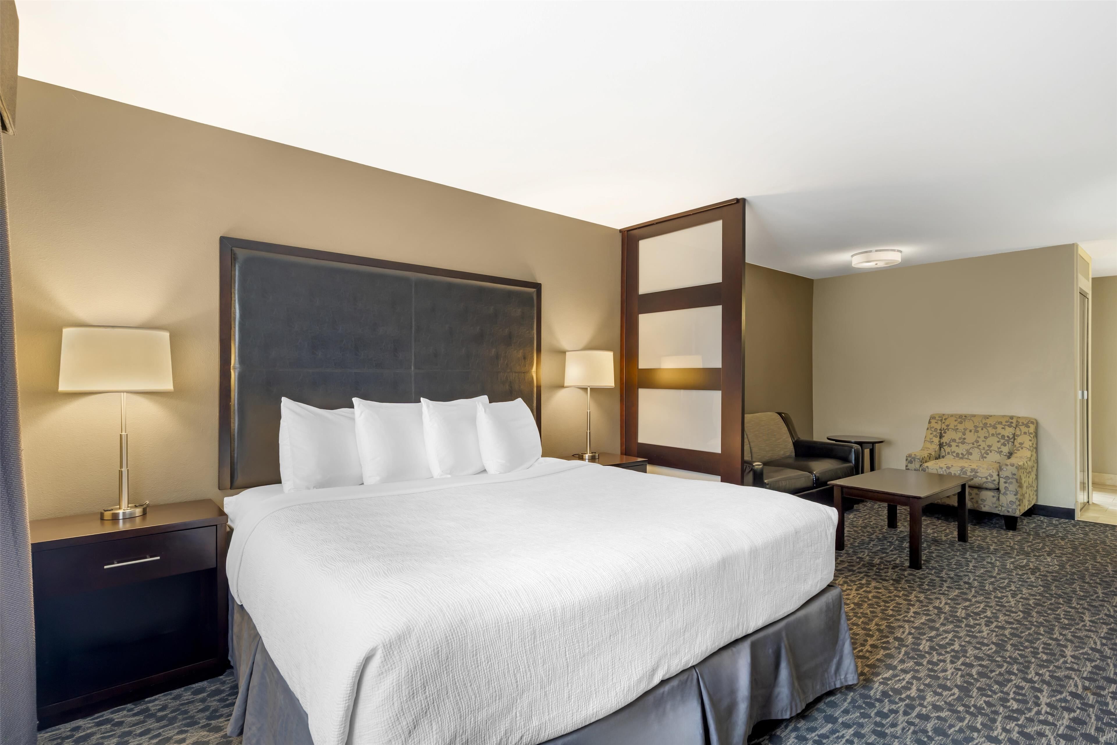 Svit - 1 kingsize-säng - icke-rökare - kylskåp och mikrovågsugn (with Single Sofabed) | Skrivbord, ljudisolering, strykjärn/strykbräda och gratis wi-fi