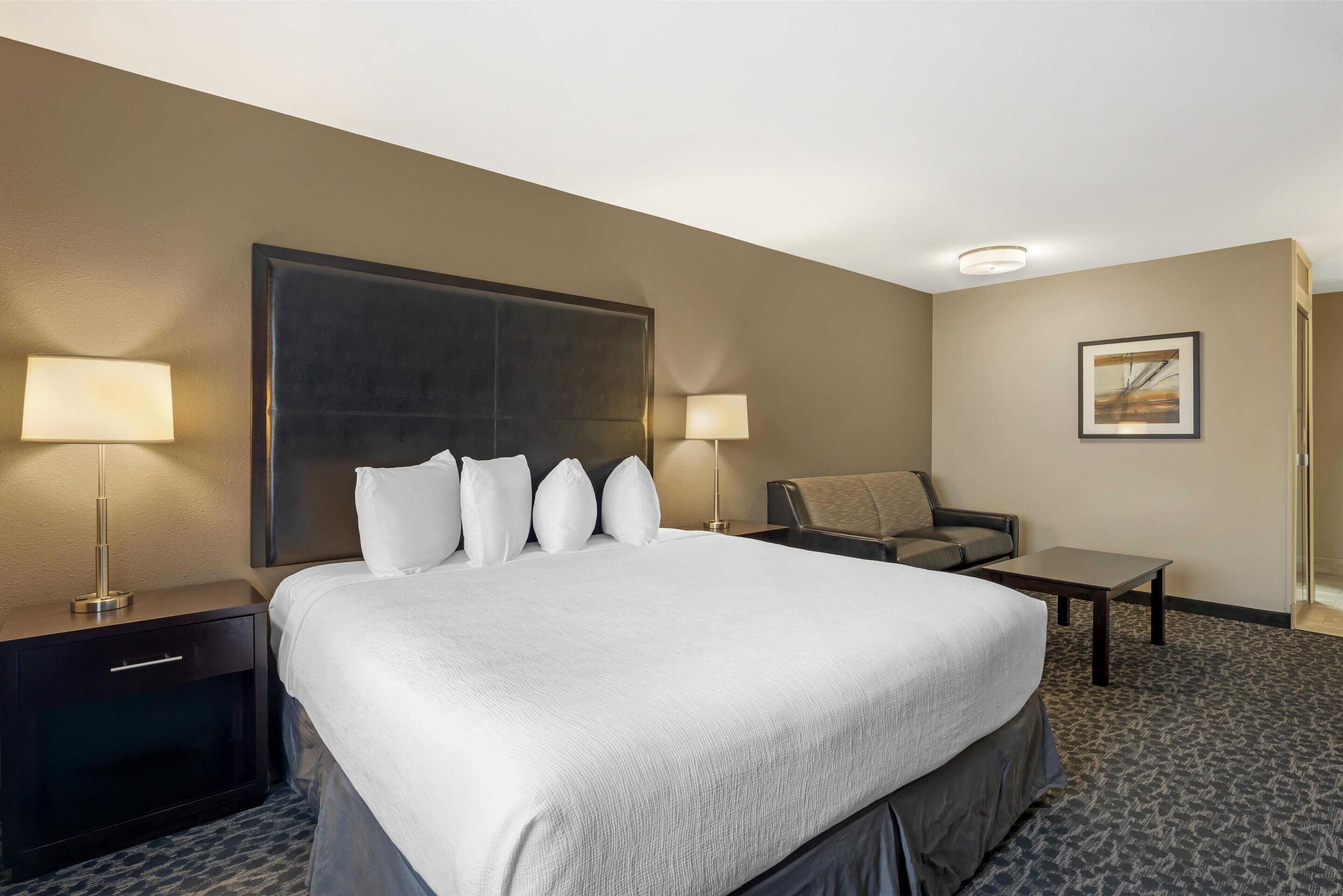 Standard Room, 1 King Bed, Non Smoking, Refrigerator & Microwave | Desk, soundproofing, iron/ironing board, free WiFi