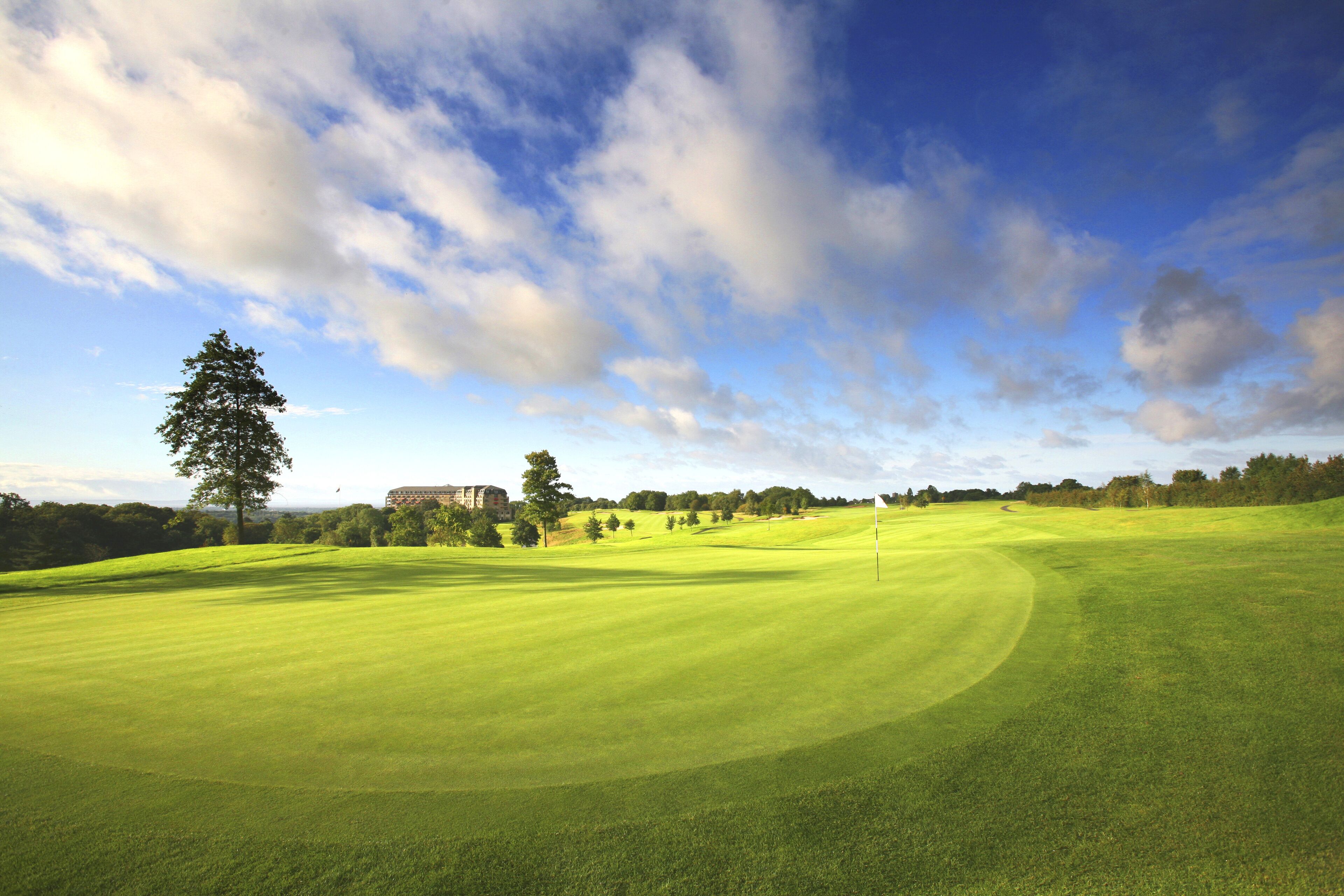 A golf course with a clear sky, a flagstick, and a large tree.