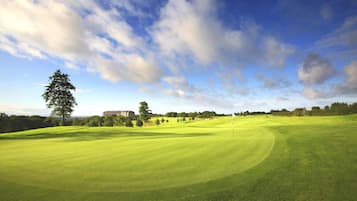 A golf course with a clear sky, a flagstick, and a large tree.