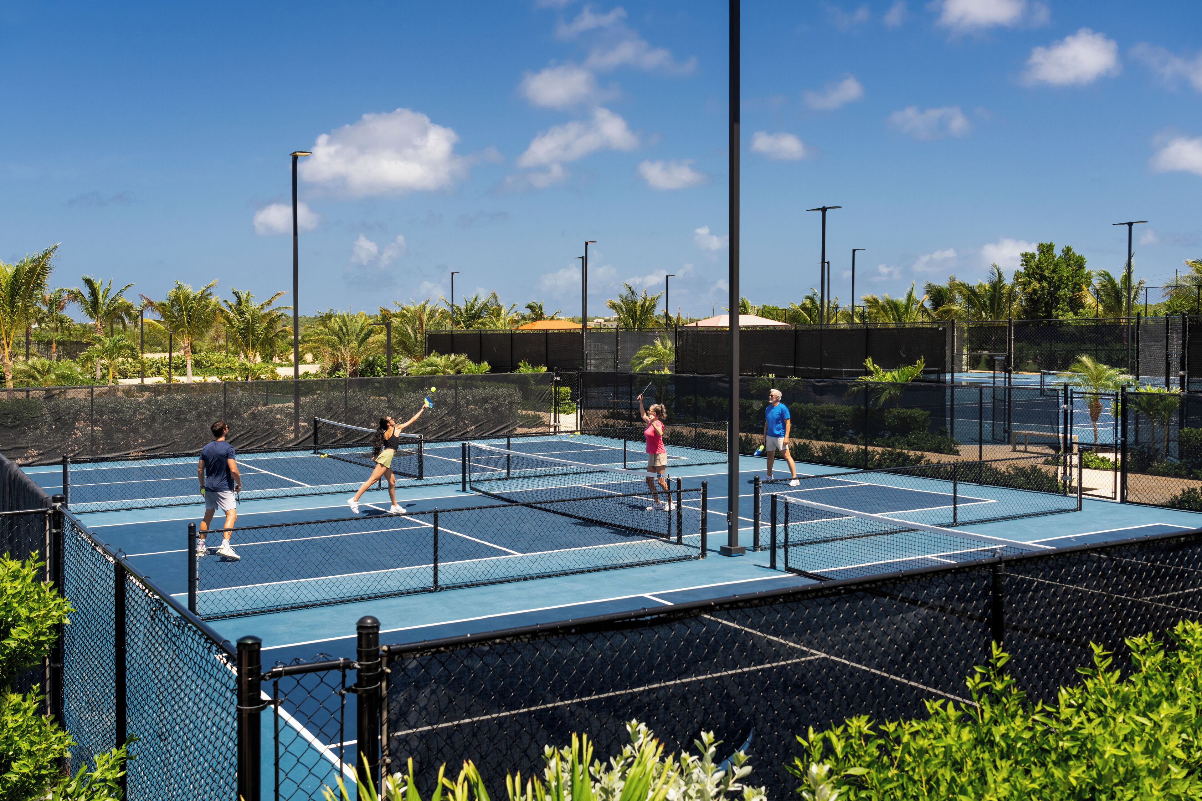 An outdoor tennis court with four players, surrounded by palm trees and a clear sky.