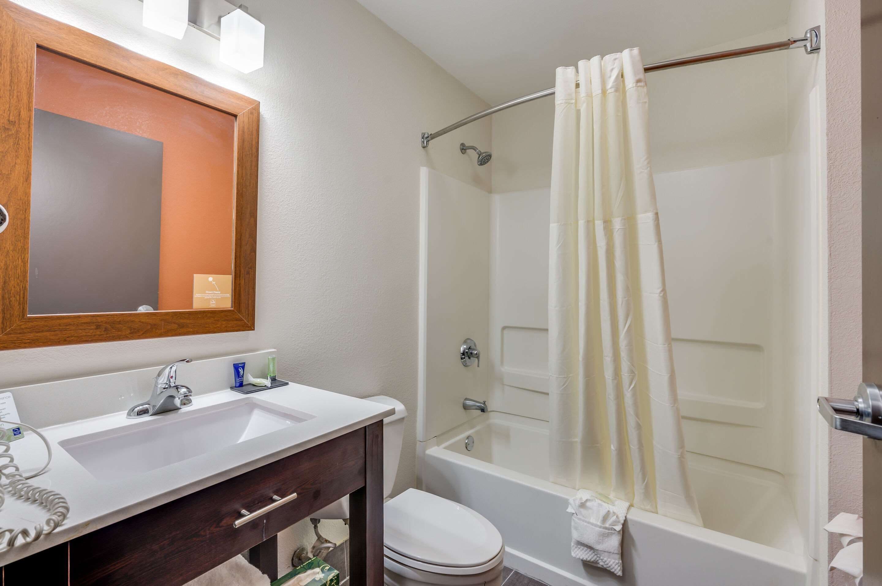 combined shower/bathtub, free toiletries, hair dryer, towels