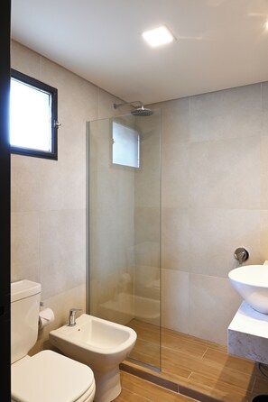 Hair dryer, bidet, towels