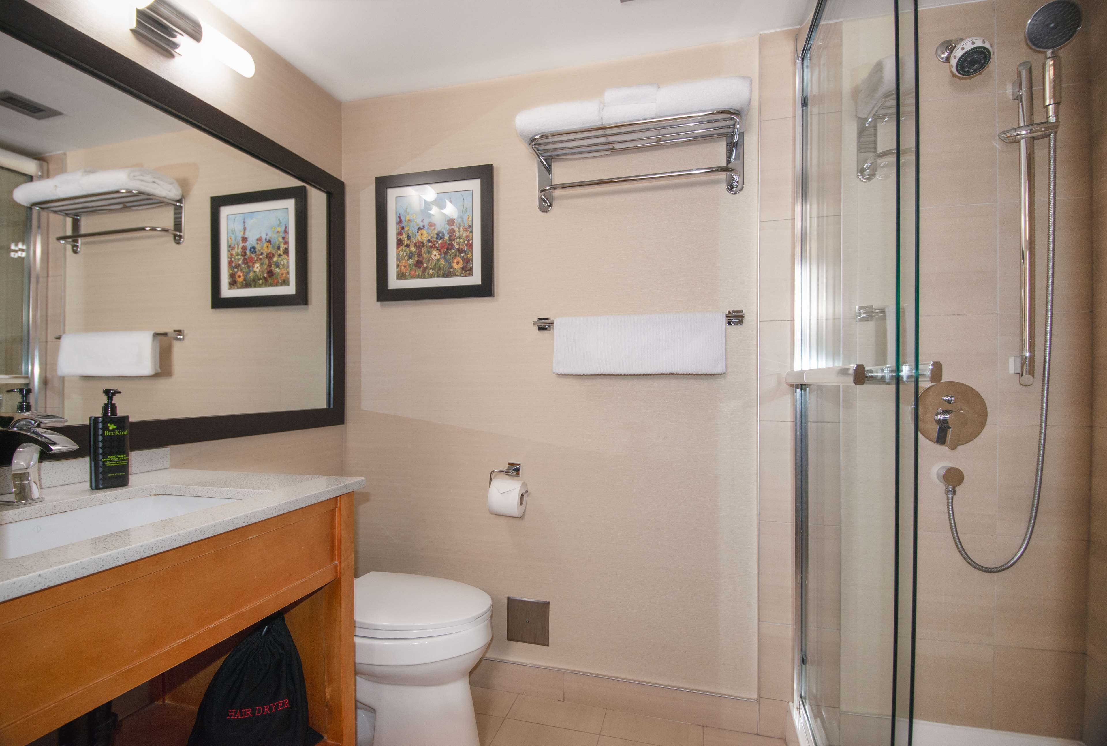 A modern bathroom with a glass shower enclosure, a white toilet, a sink with a mirror, and two framed floral paintings on the wall.