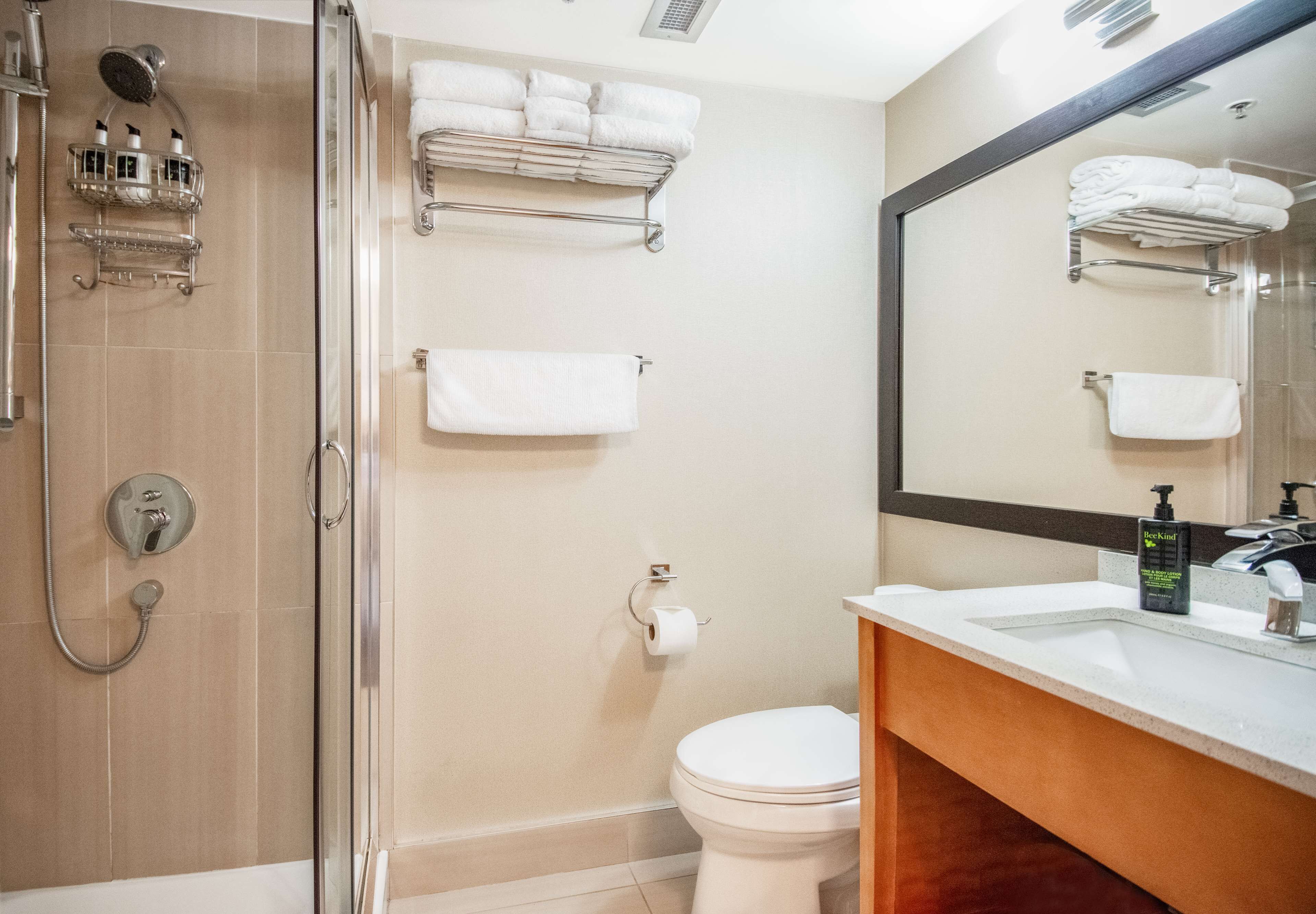 Een badkamer met een douchecabine van glas, een toilet, een wastafel met spiegel en handdoekrekken.
