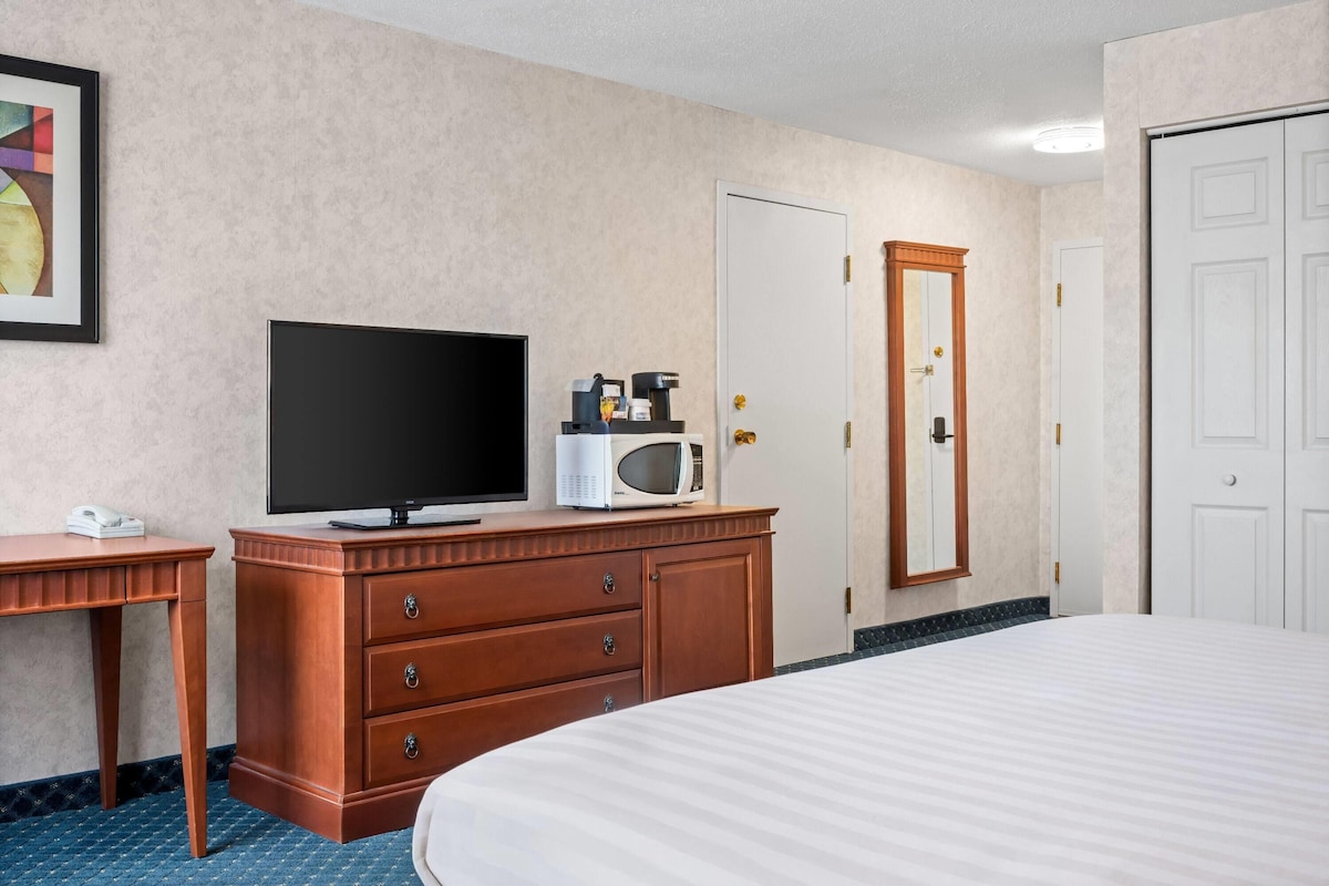 Premium Room, 1 King Bed, Accessible, Non Smoking (Mobility, Tub w/Grab Bars) | Desk, blackout drapes, iron/ironing board, WiFi (free)