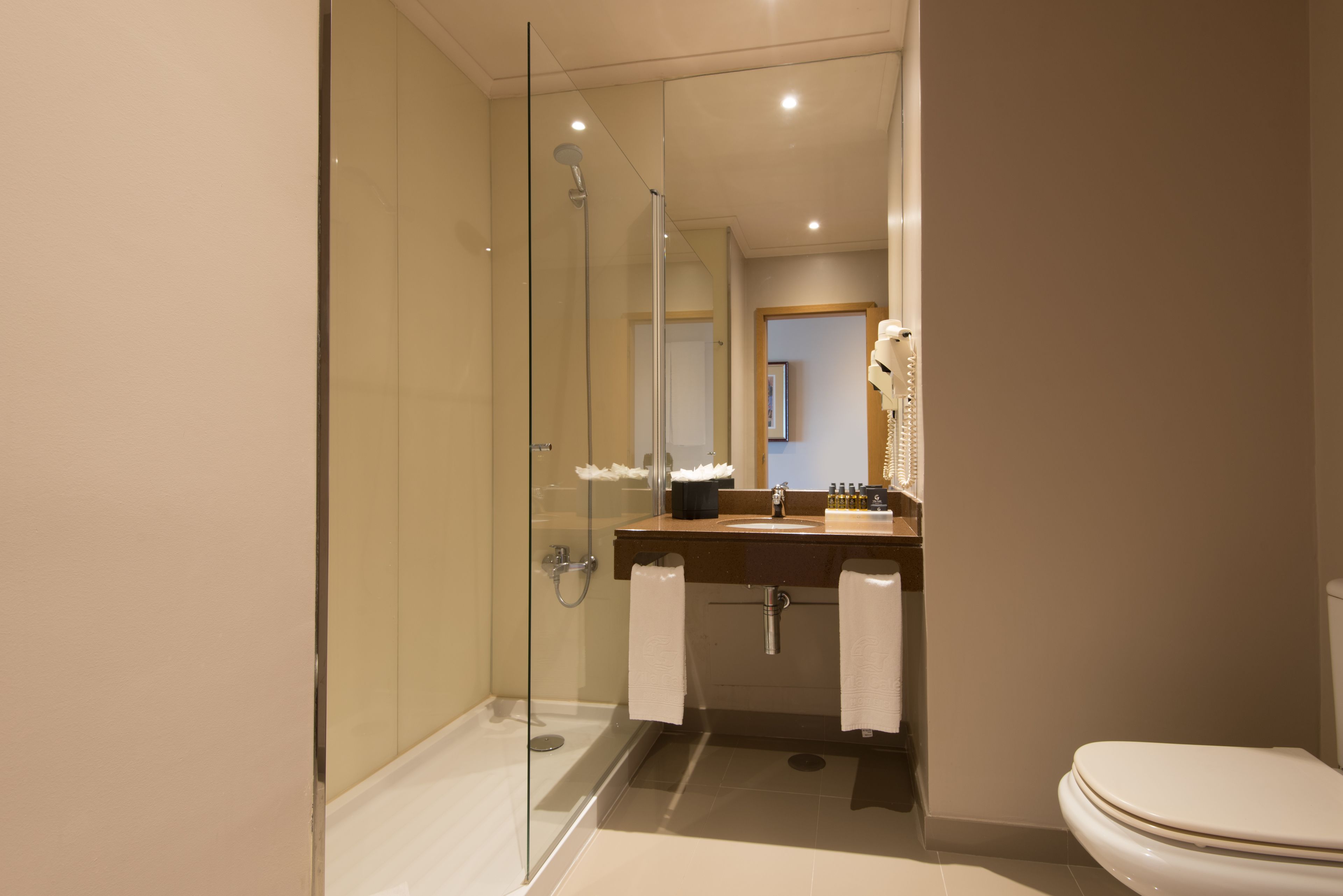 A modern bathroom with a glass-enclosed shower, a sink with a mirror, and a toilet.