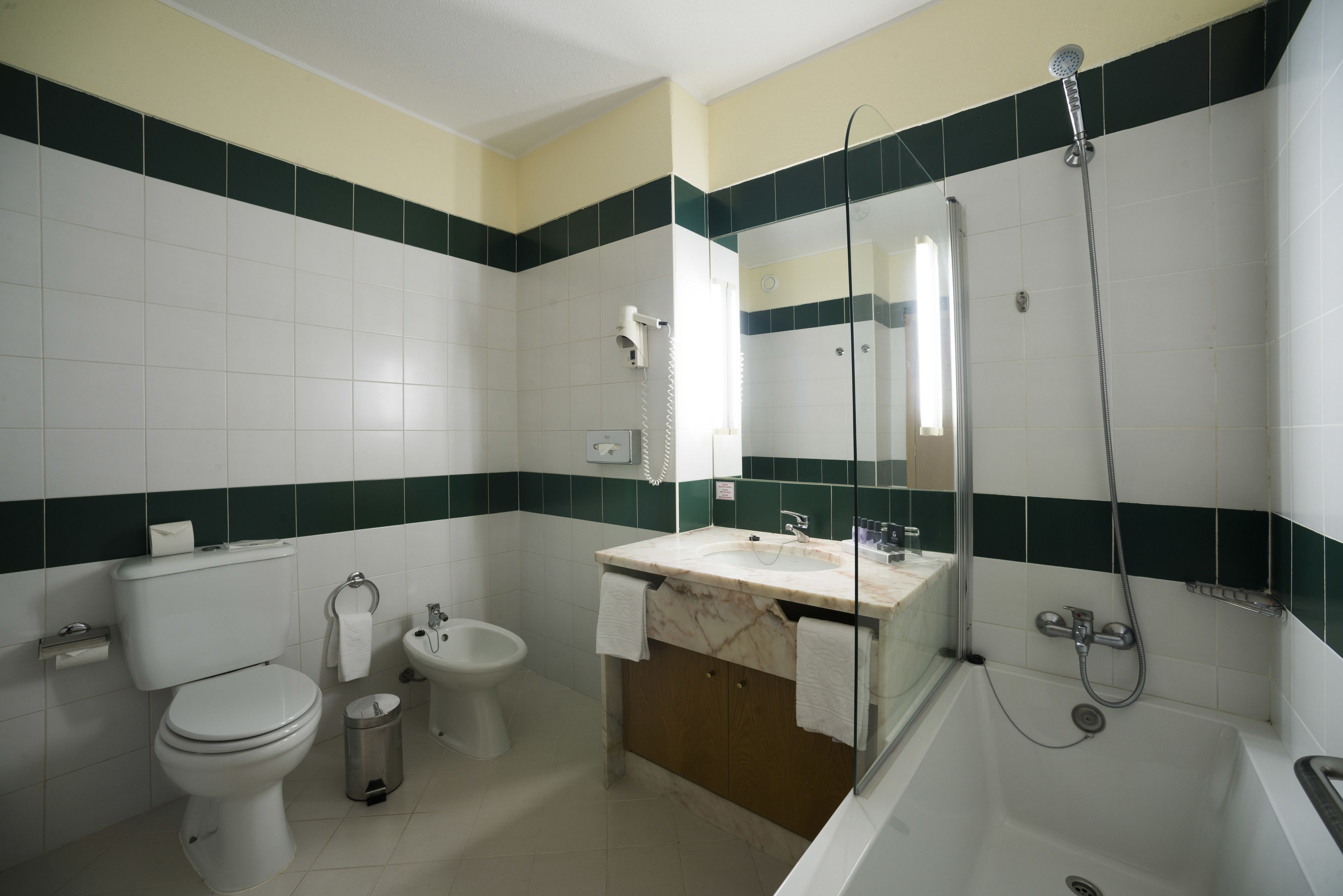 combined shower/bathtub, free toiletries, hair dryer, bidet