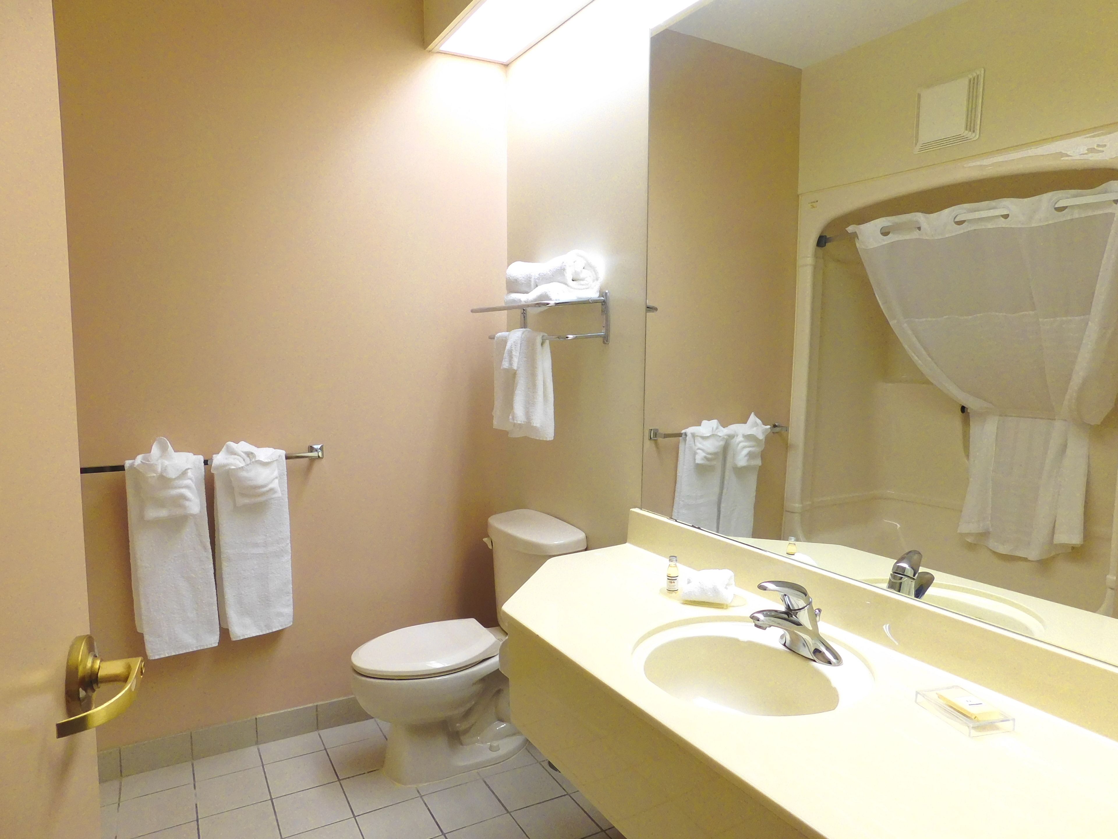 combined shower/bathtub, free toiletries, hair dryer, towels