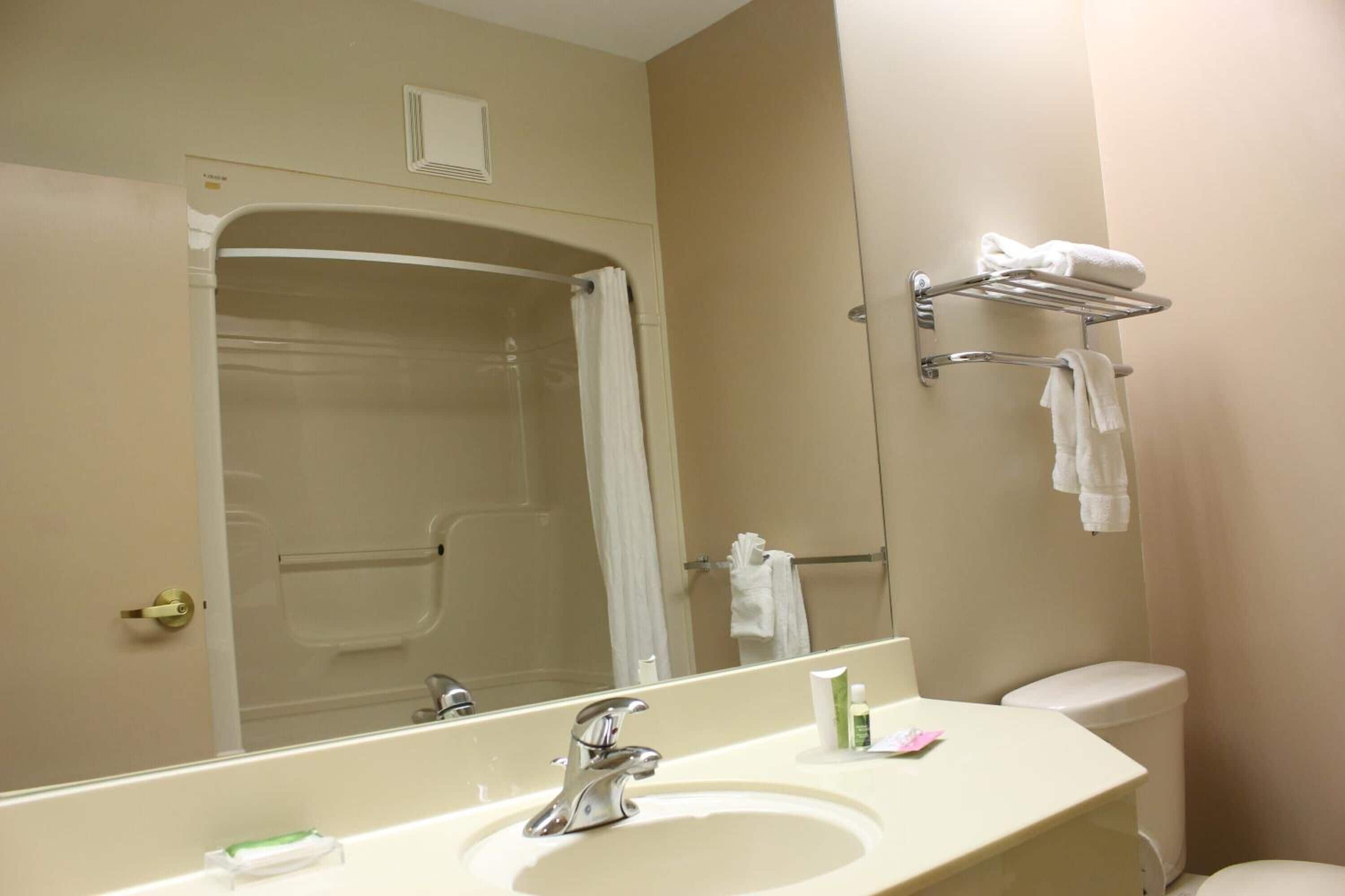 combined shower/bathtub, free toiletries, hair dryer, towels