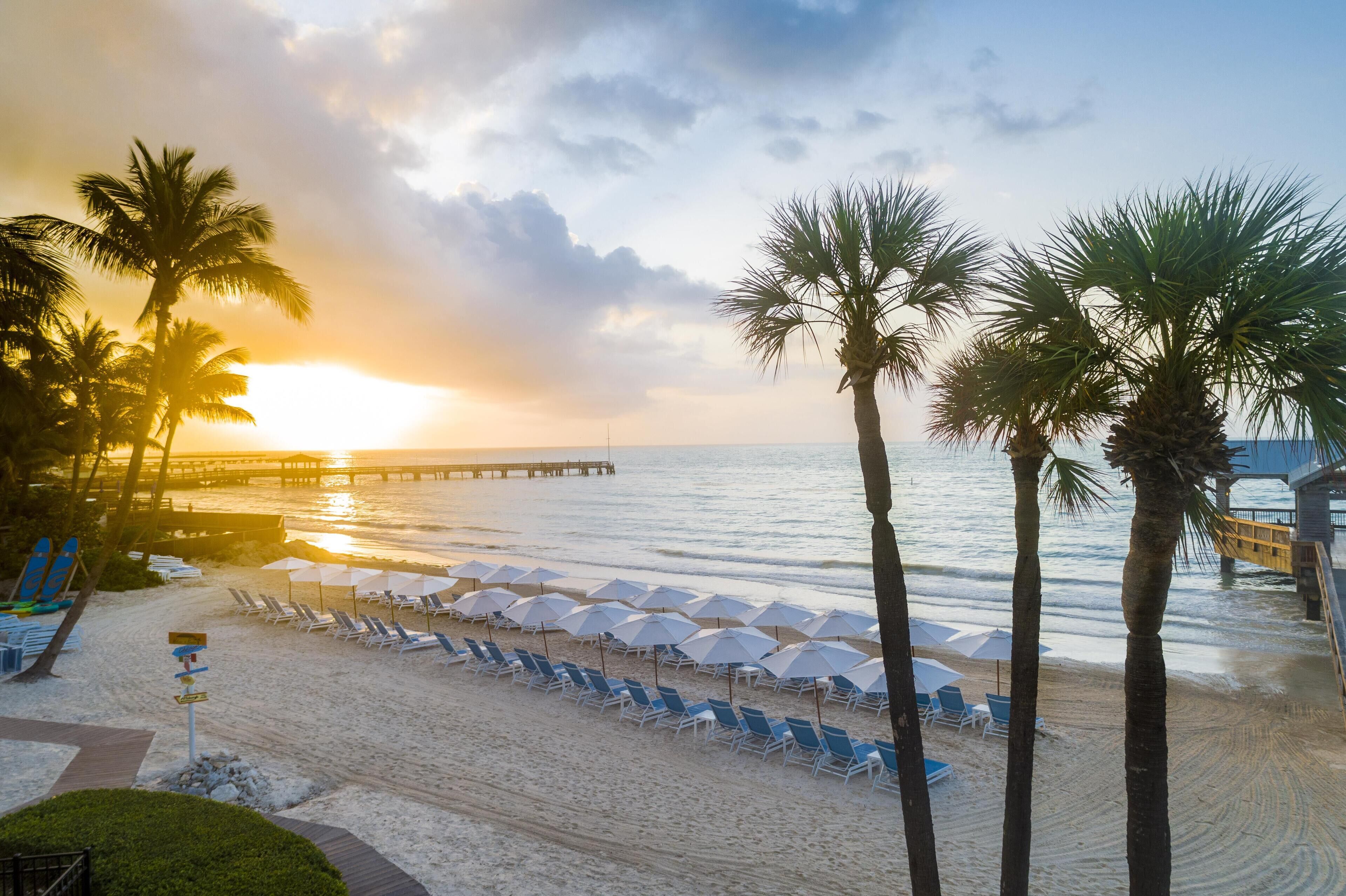 Une plage bordée de palmiers, avec des chaises longues et des parasols, sous un ciel embrasé par le coucher de soleil.